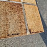 Vintage coffee table by Roger Capron, herbarium model