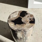 Side table in petrified wood