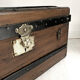 Old trunk