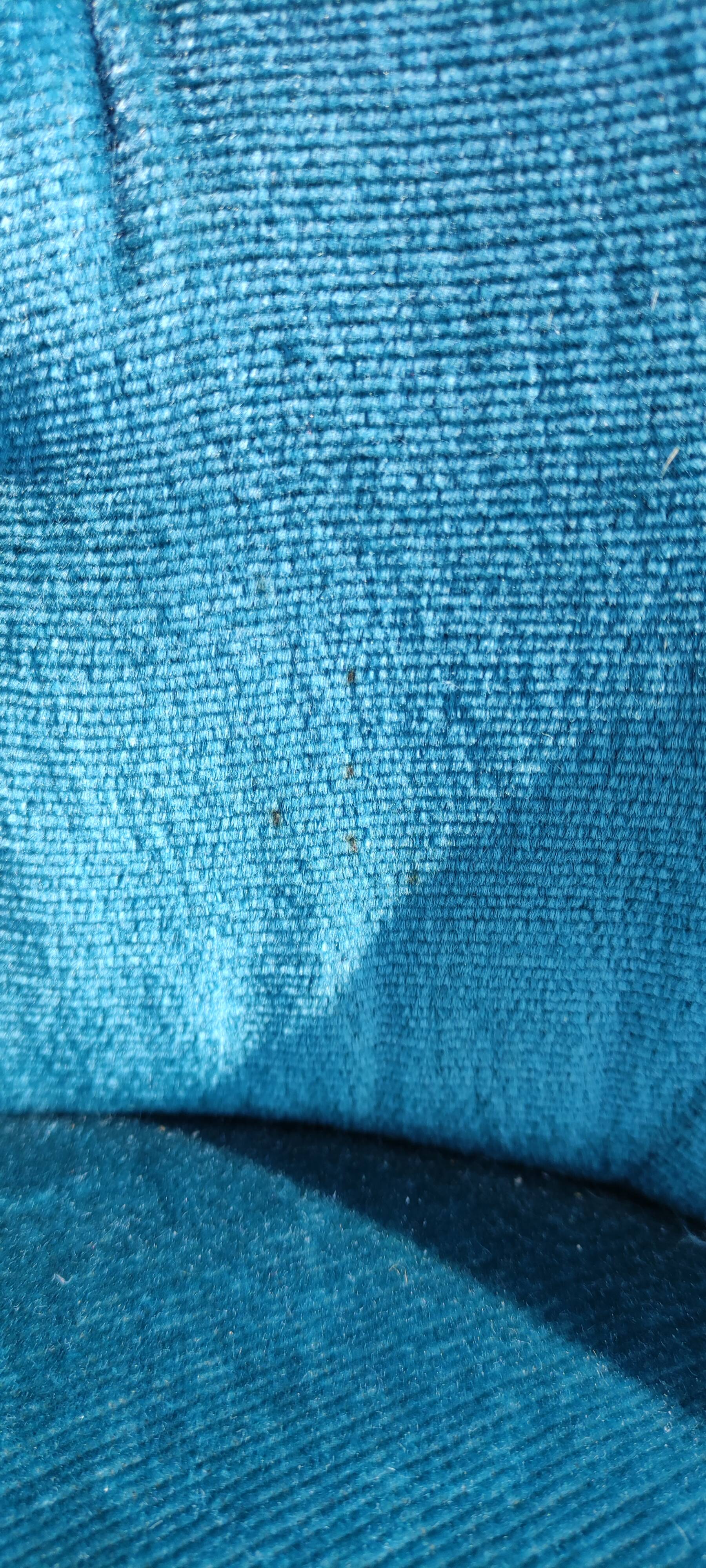 Blue velvet upholstered toad armchair