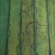 Set of 4 Vintage Green Folding Chairs, German Beech Wood Chairs,  60s–70s
