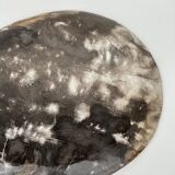 Dish in petrified wood