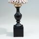 Cabinet of Curiosities: Conus shell on a blackened wooden base, 19th century