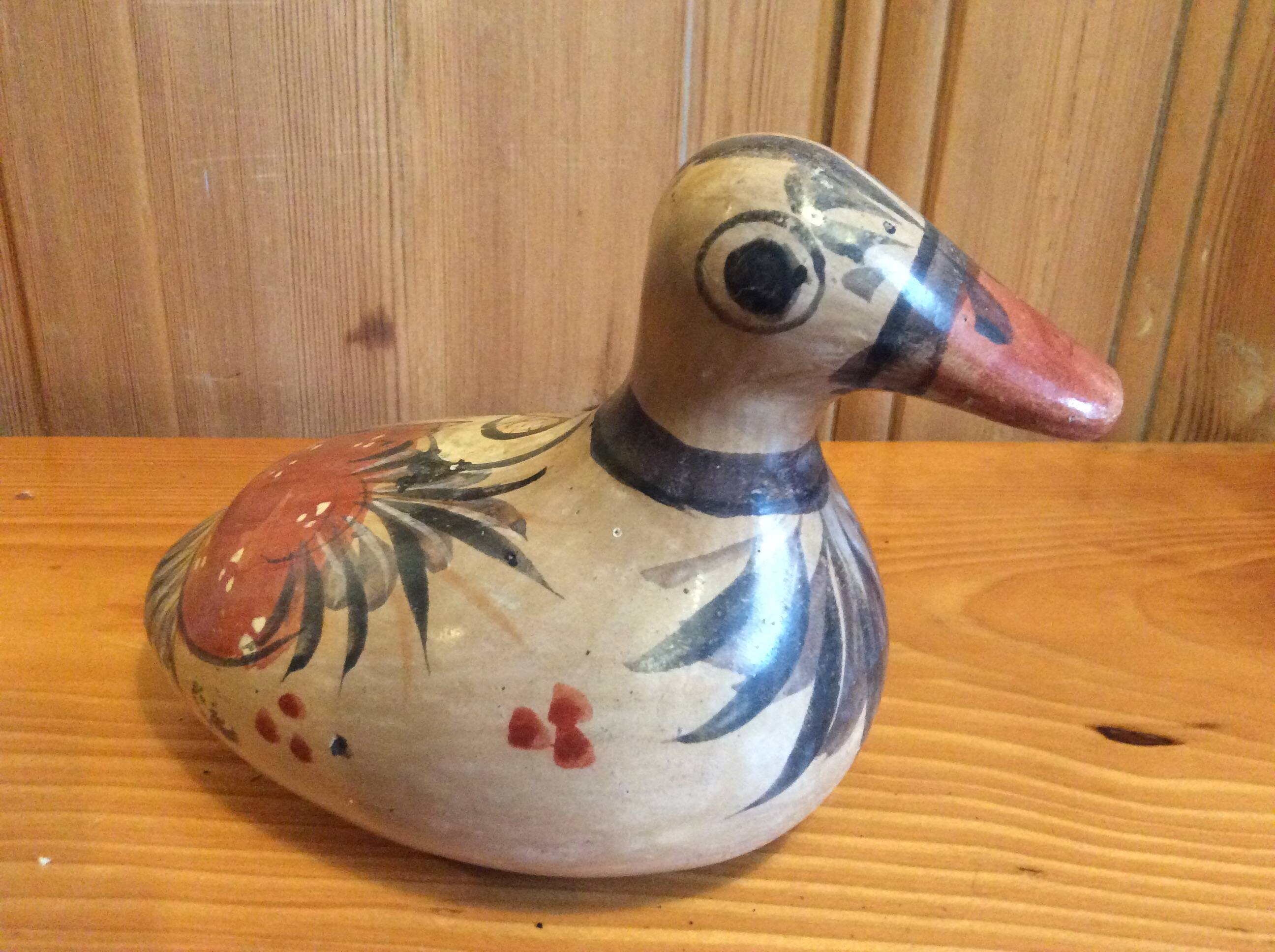 Mexico Duck