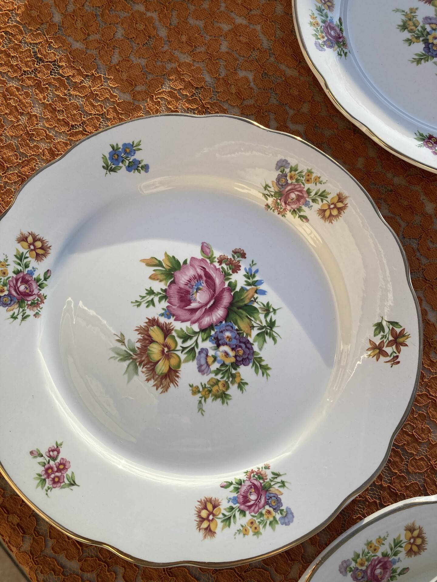 Service esprit bohème Digoin Sarreguemines