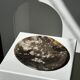 Dish in petrified wood
