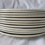 Lot of 12 old flat plates and 2 dishes, Terre de fer Henri II Salins