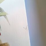 Illustration. Keel-billed Toucan by J. Gould – 33x49 cm – Antique bird print