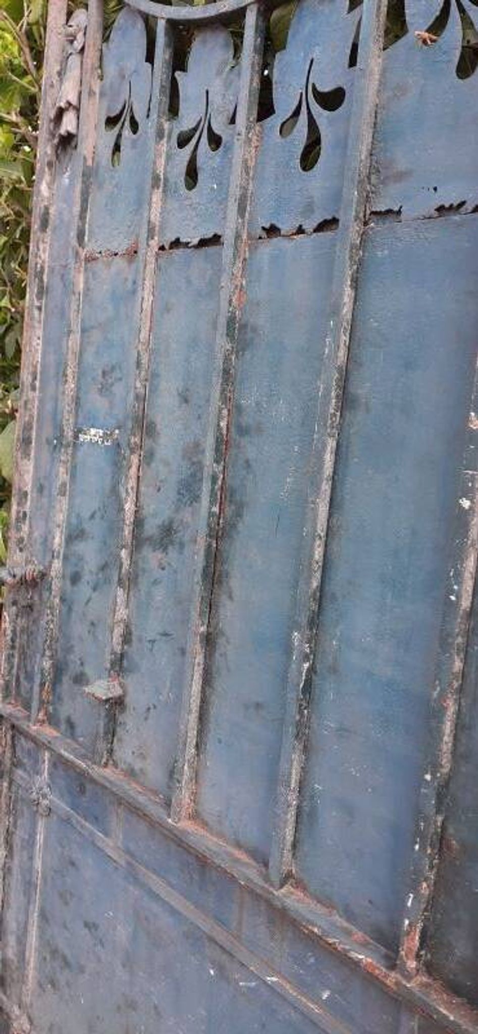 Solid gate, garden iron, H227x110cm, old, exterior door
