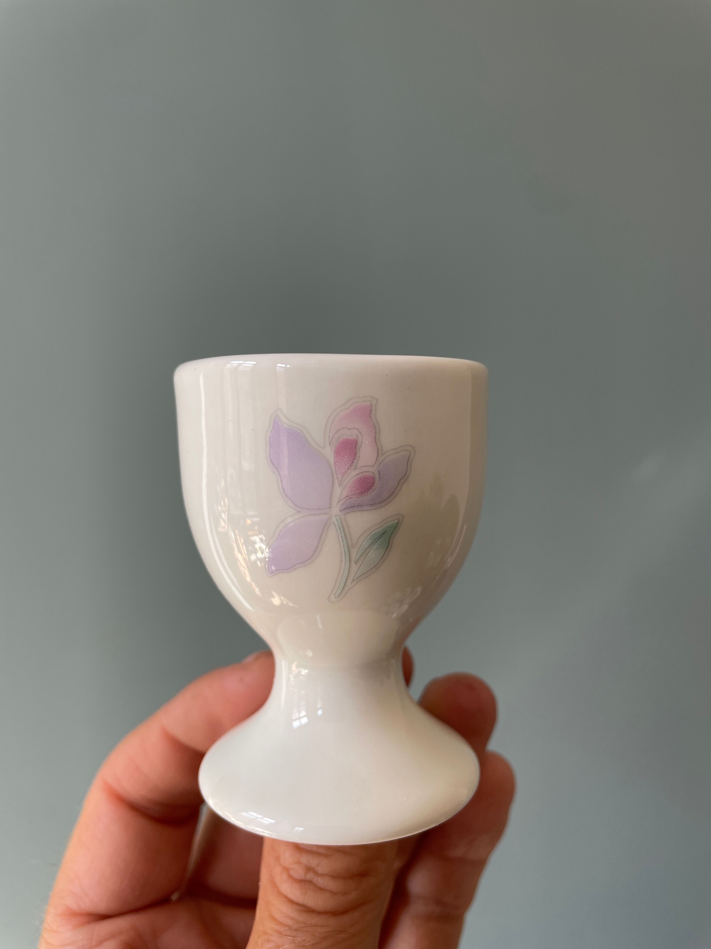 Set of 13 old standing cockroaches