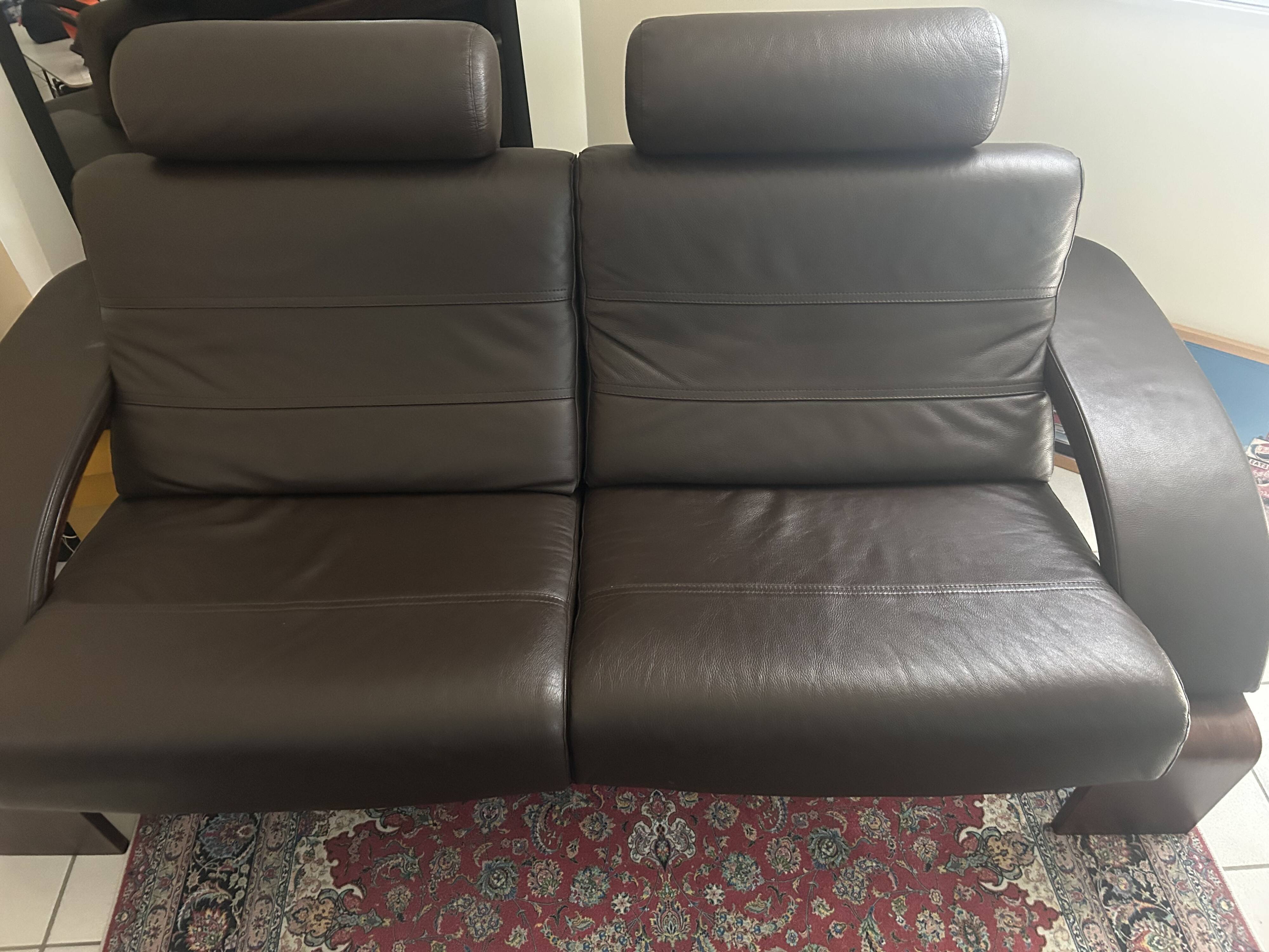 Roche Bobois sofa