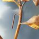 Pair of metal wall lamps