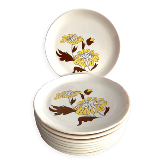 9 Sovirel opaline dessert plates