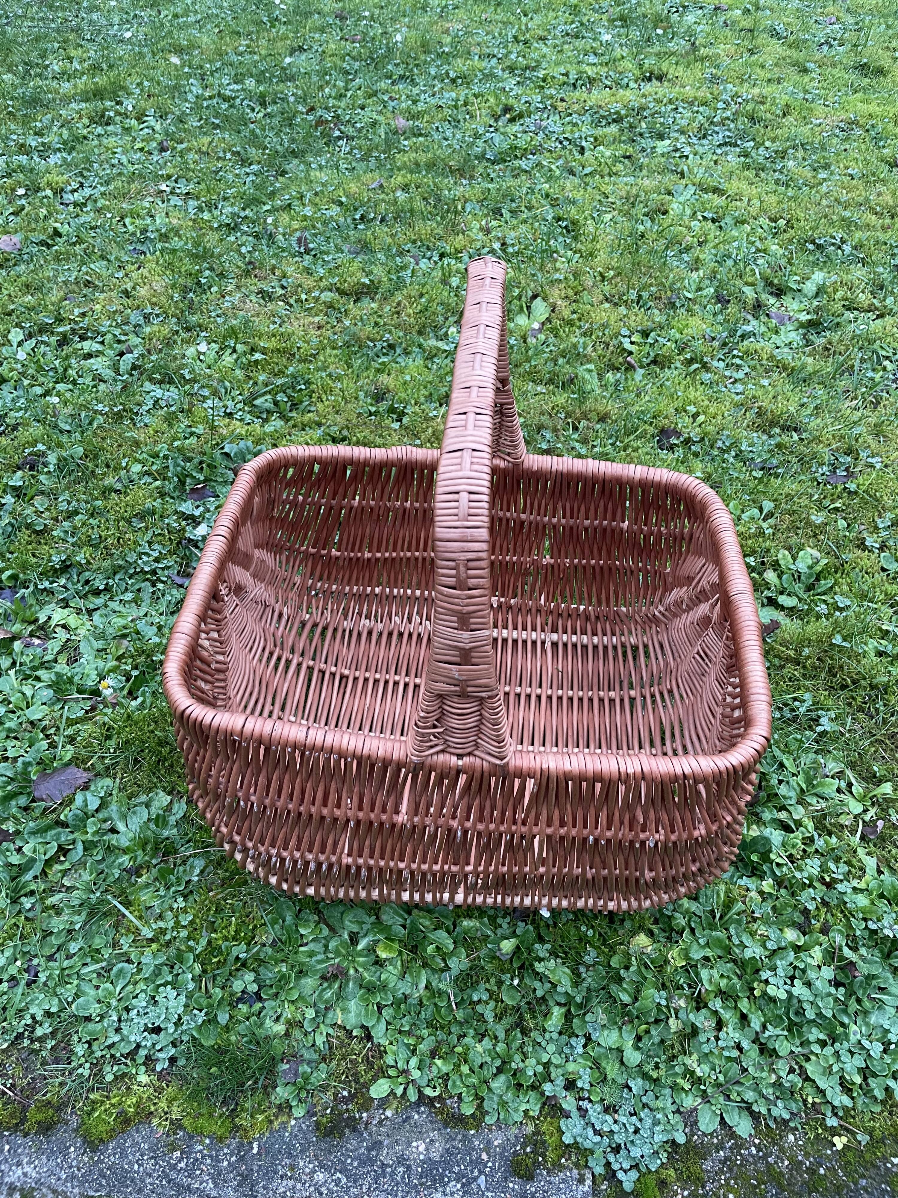 Grand panier en osier