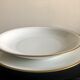 6 hollow plates - Limoges Chastagner porcelain