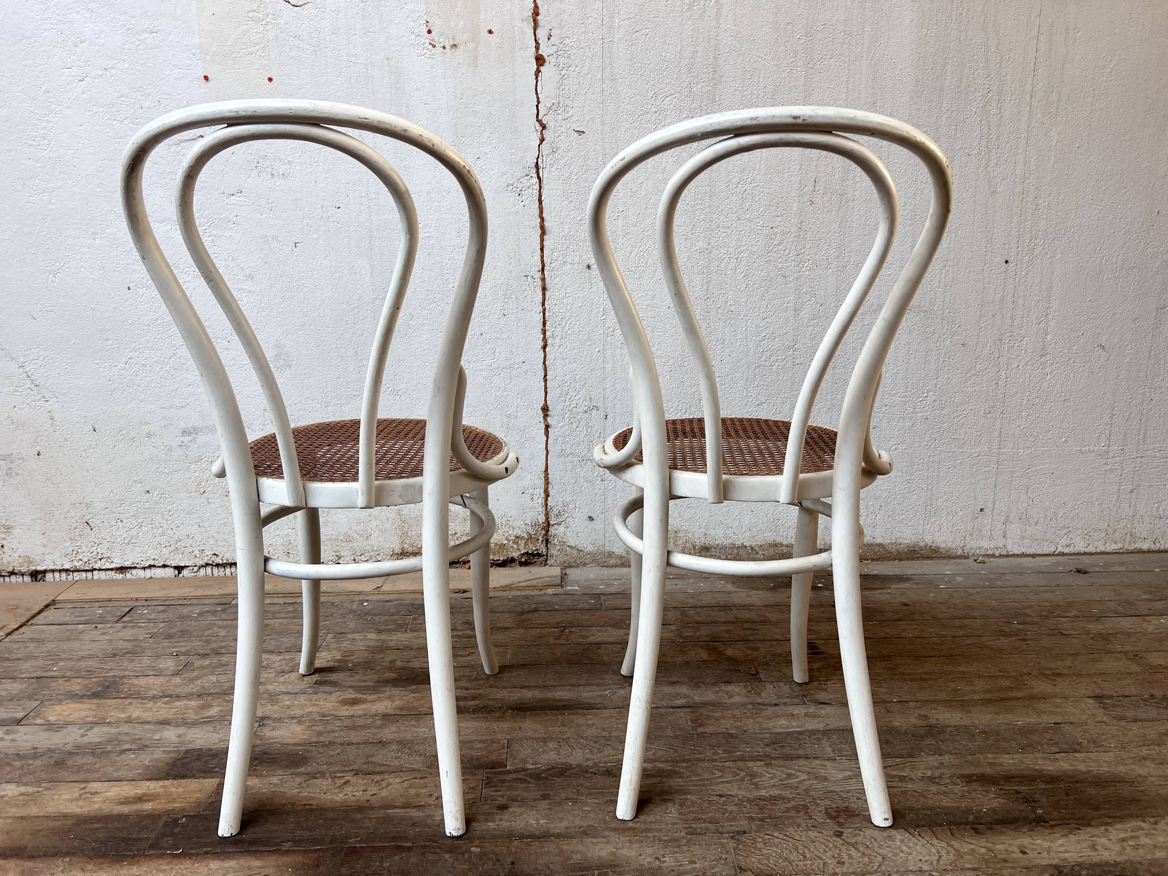 Pair of 2 bistro chairs in white bentwood and canework Jacob Josef Kohn
