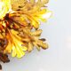 1960's Gilt 'Florentine' Ceiling of wall light by Banci Firenze