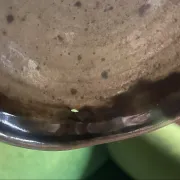 6 cups Pierre Digan in pyrite stoneware