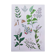 Plant poster based on an 1881 engraving "samphire"