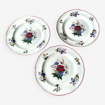 3 Pyroblan Sarreguemines porcelain dinner plates Agreste model