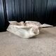 Vintage Handkerchief Planter by Willy Guhl