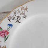 6 flat flowered plates