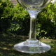 Set of 3 antique water glasses in engraved glass.