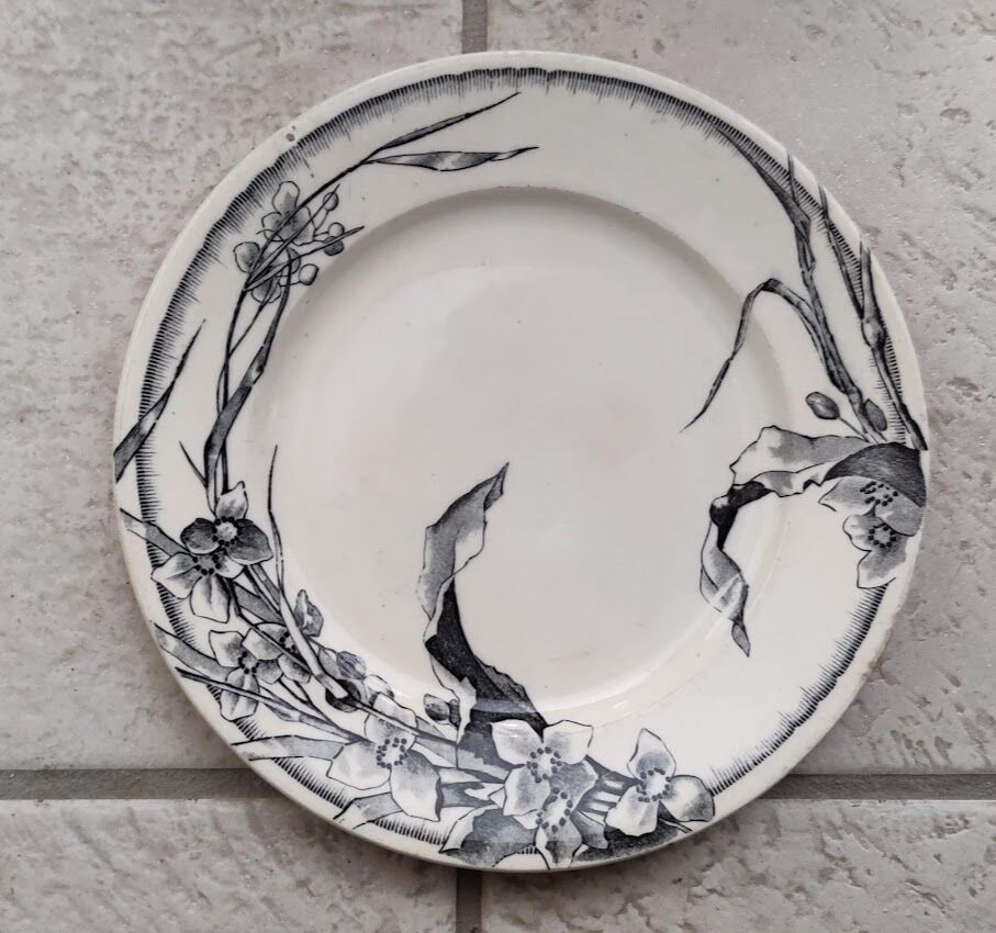 Flat plate JV et Cie Bordeaux / Chevreuse