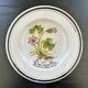 Collection of 3 botanical dishes made in Italy.