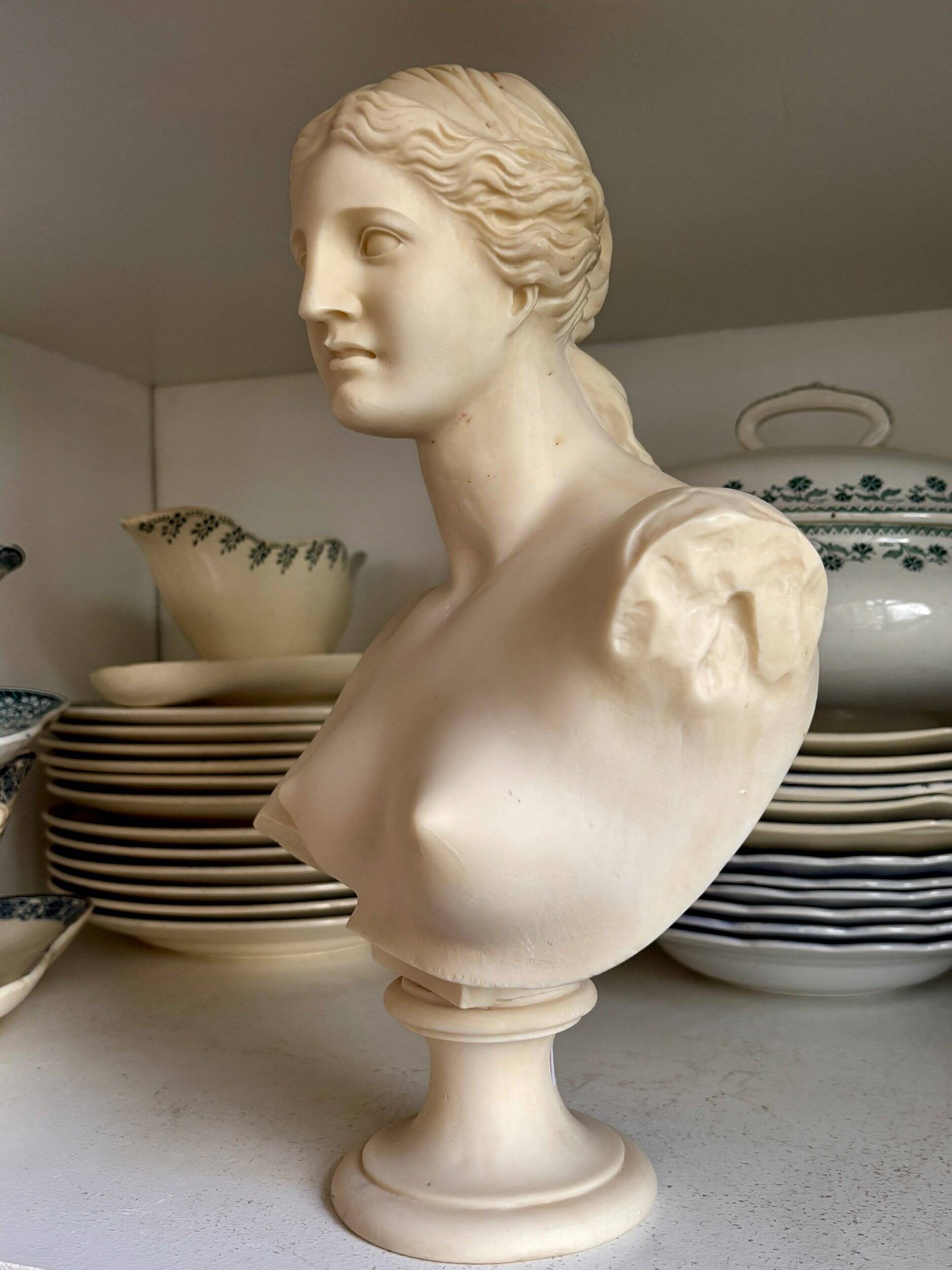 Bust of Venus on pedestal