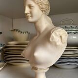Bust of Venus on pedestal