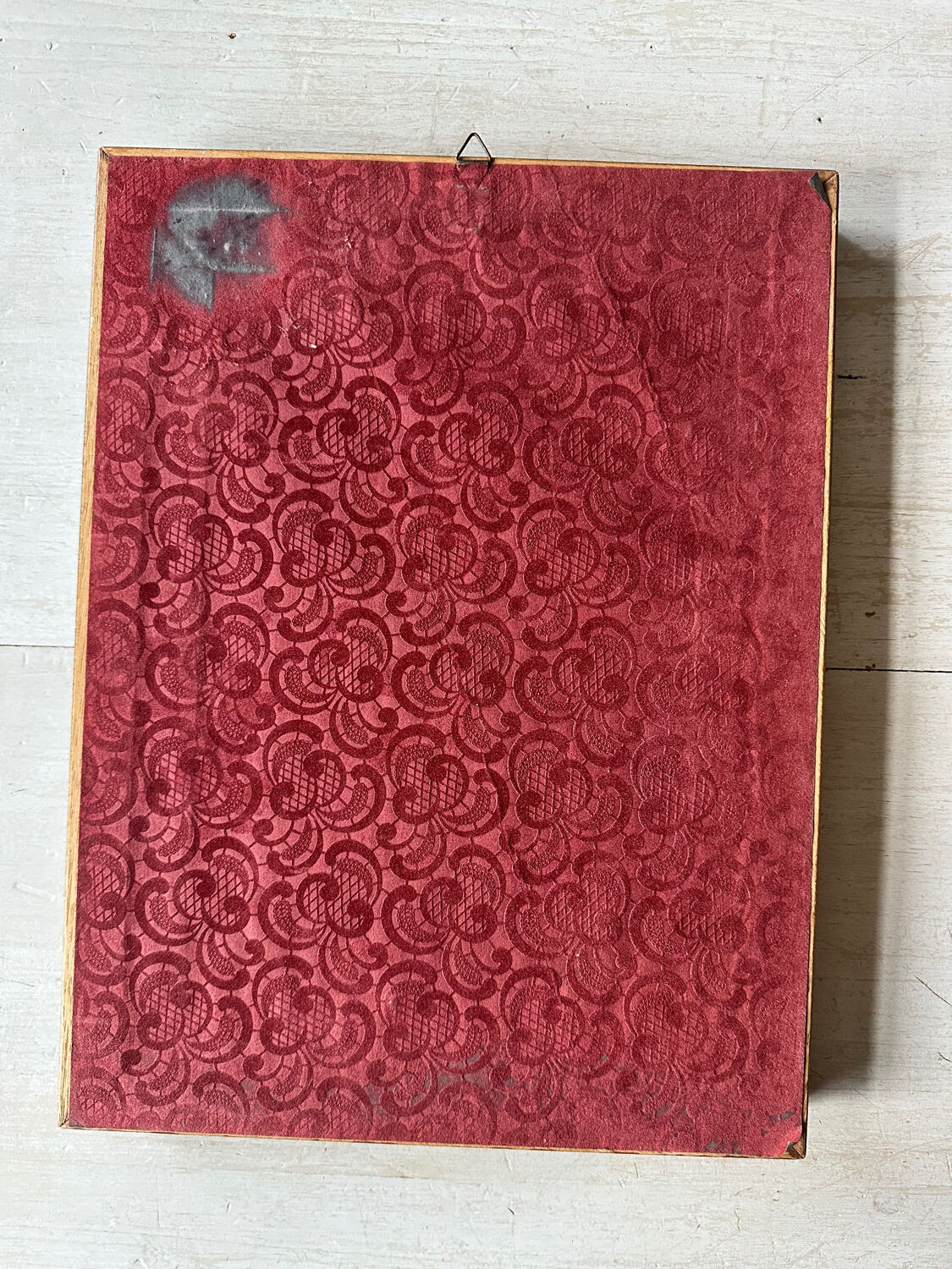 Antique illustration of a bird. Antique framed illustration of a bird.