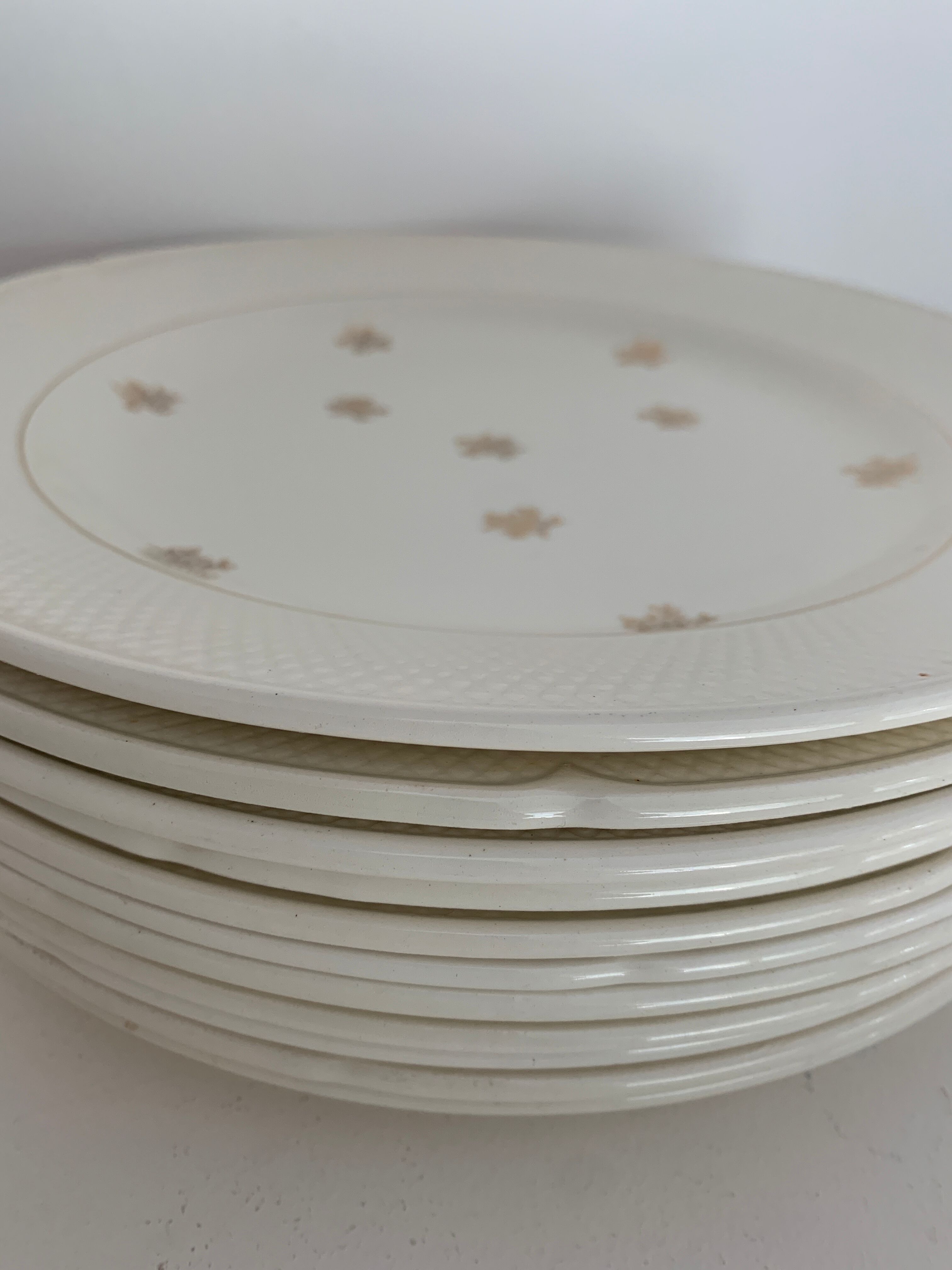 11 Salins flat plates