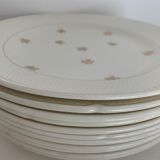 11 Salins flat plates