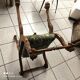 Fauteuil Dagobert curule en noyer
