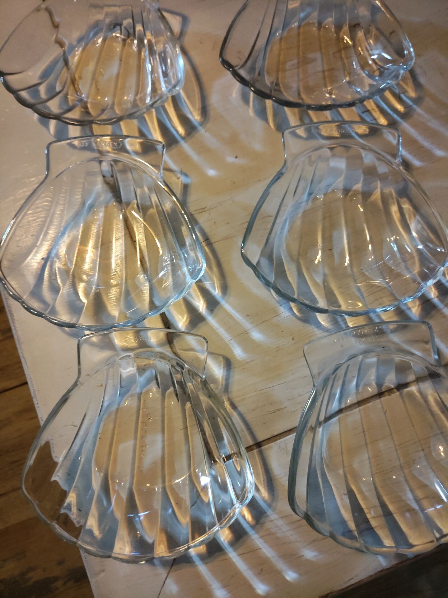 Pack of 6 scallop shells