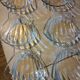 Pack of 6 scallop shells
