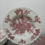 12 English plates Stanffordshire model "Bountiful"