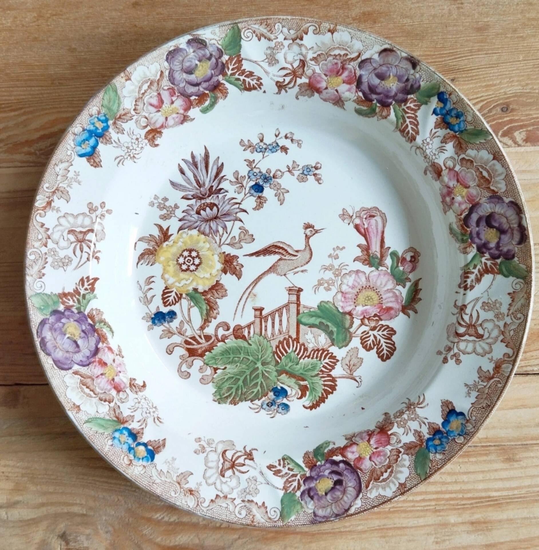 Set of 2 antique Longwy plates - Anemone model / Anemones
