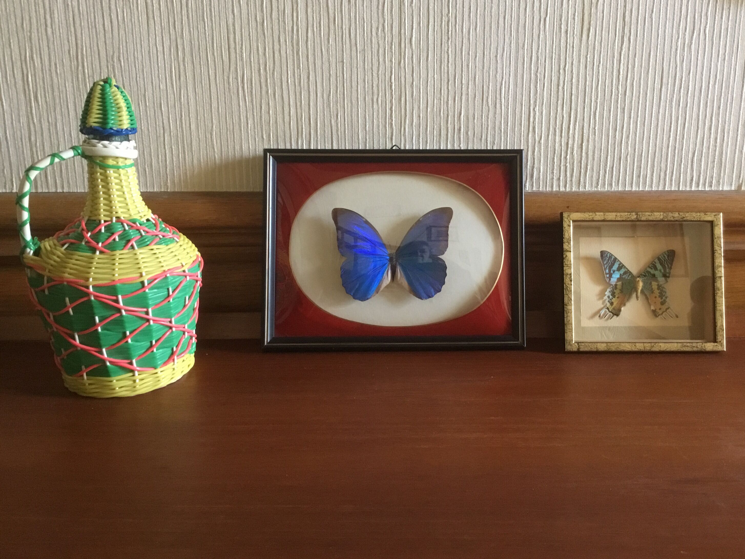Frame butterfly urania