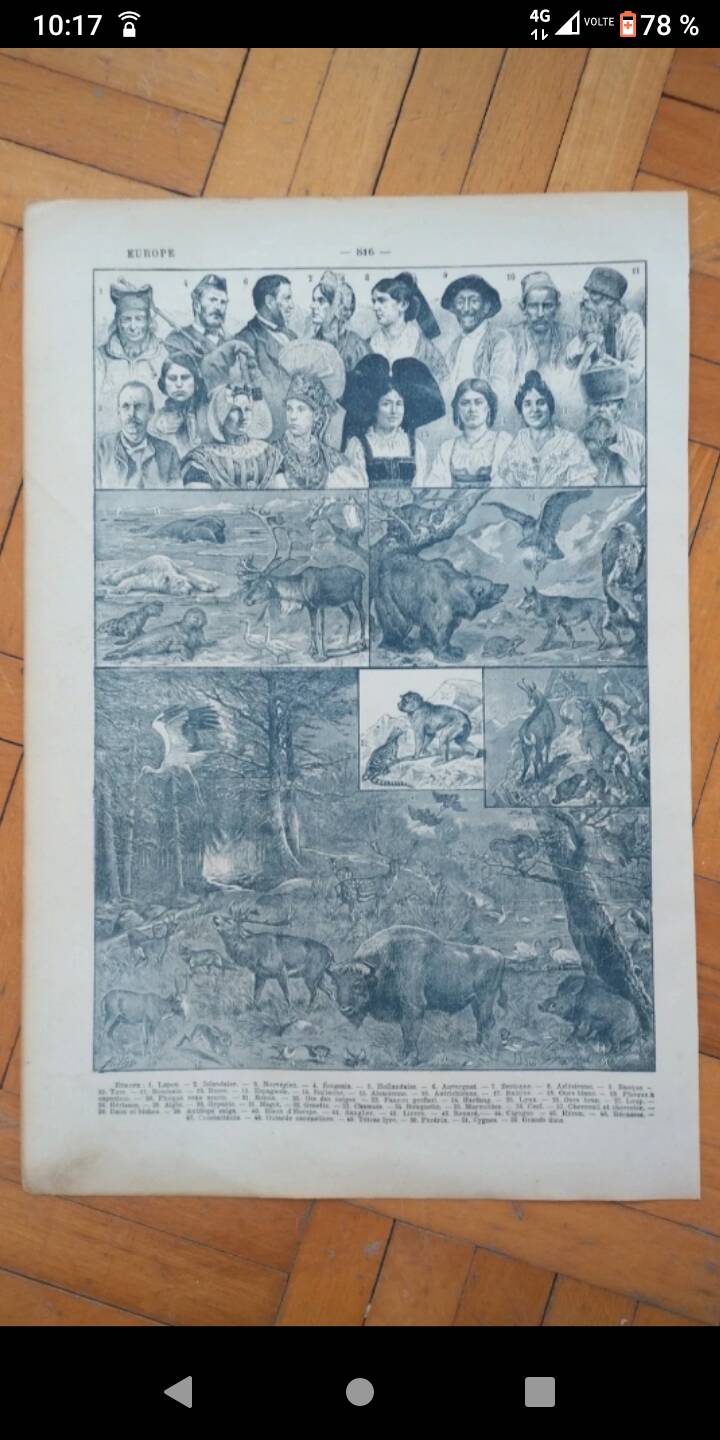 Old geographical map of Europe Larousse