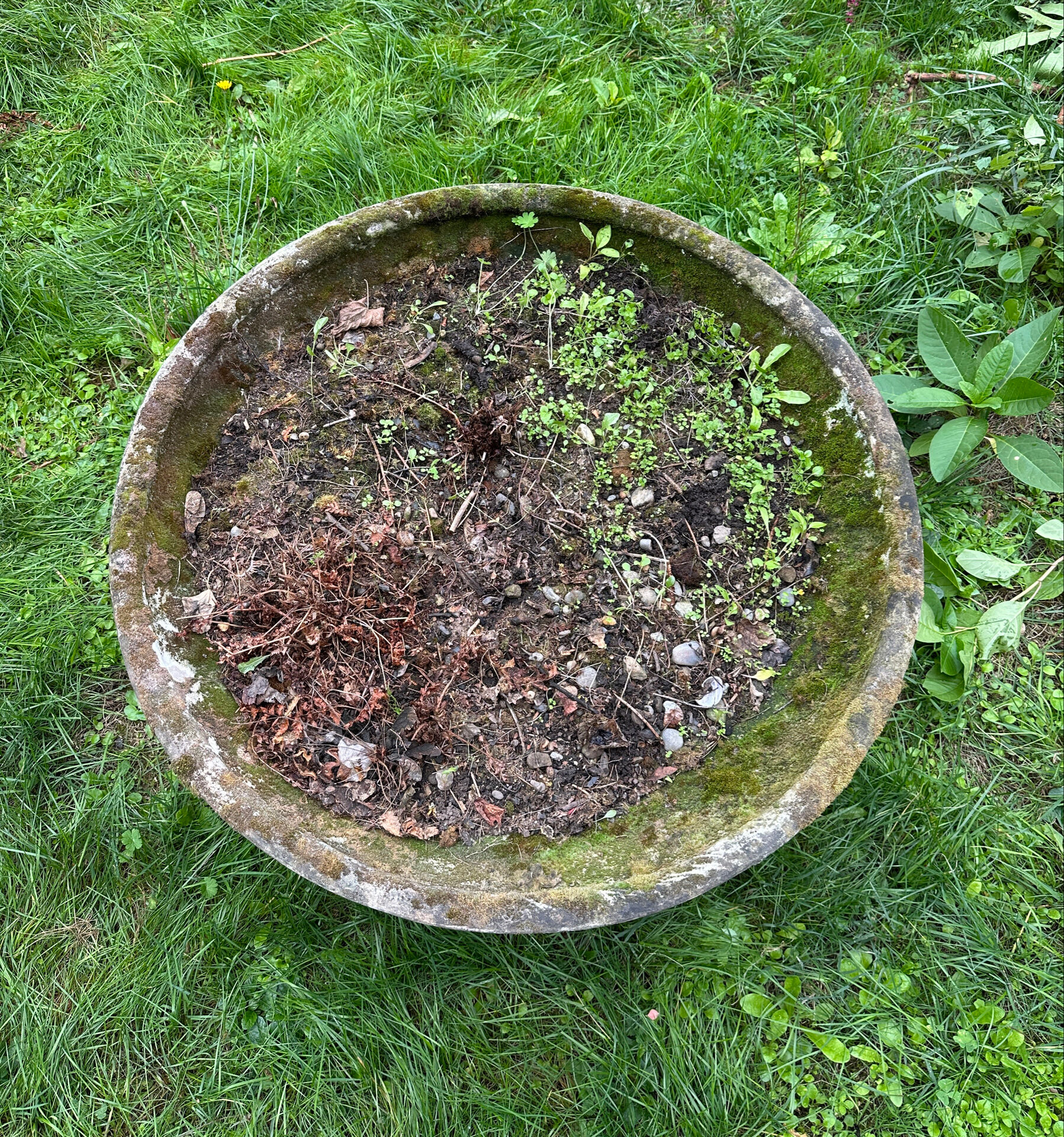 Old planter, pedestal basin in fibrociment by Willy Guillaume.