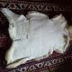 Sheepskin