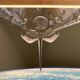 Original NASA Space Photography