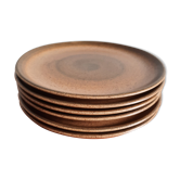 6 flat plates Longchamp