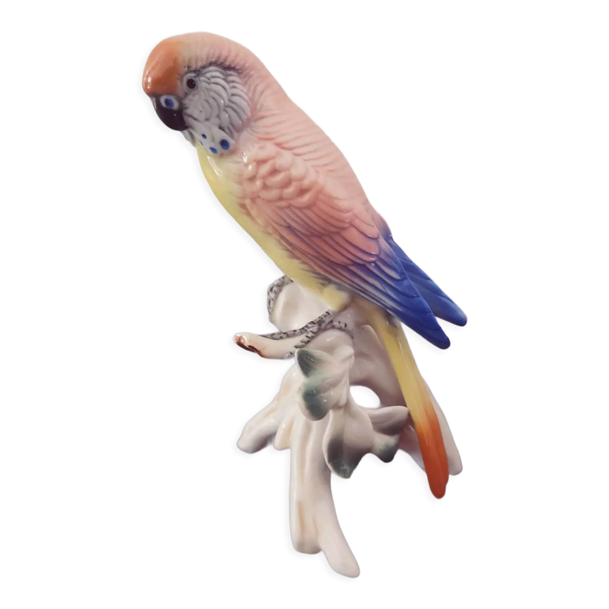 XIXth century porcelain parakeet of Saxony by Karl ENS