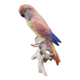 XIXth century porcelain parakeet of Saxony by Karl ENS