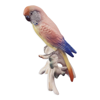 XIXth century porcelain parakeet of Saxony by Karl ENS