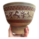 Rene Maurel Cup