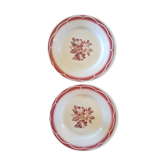 Set of 2 plates digoin sarreguemines model marsac